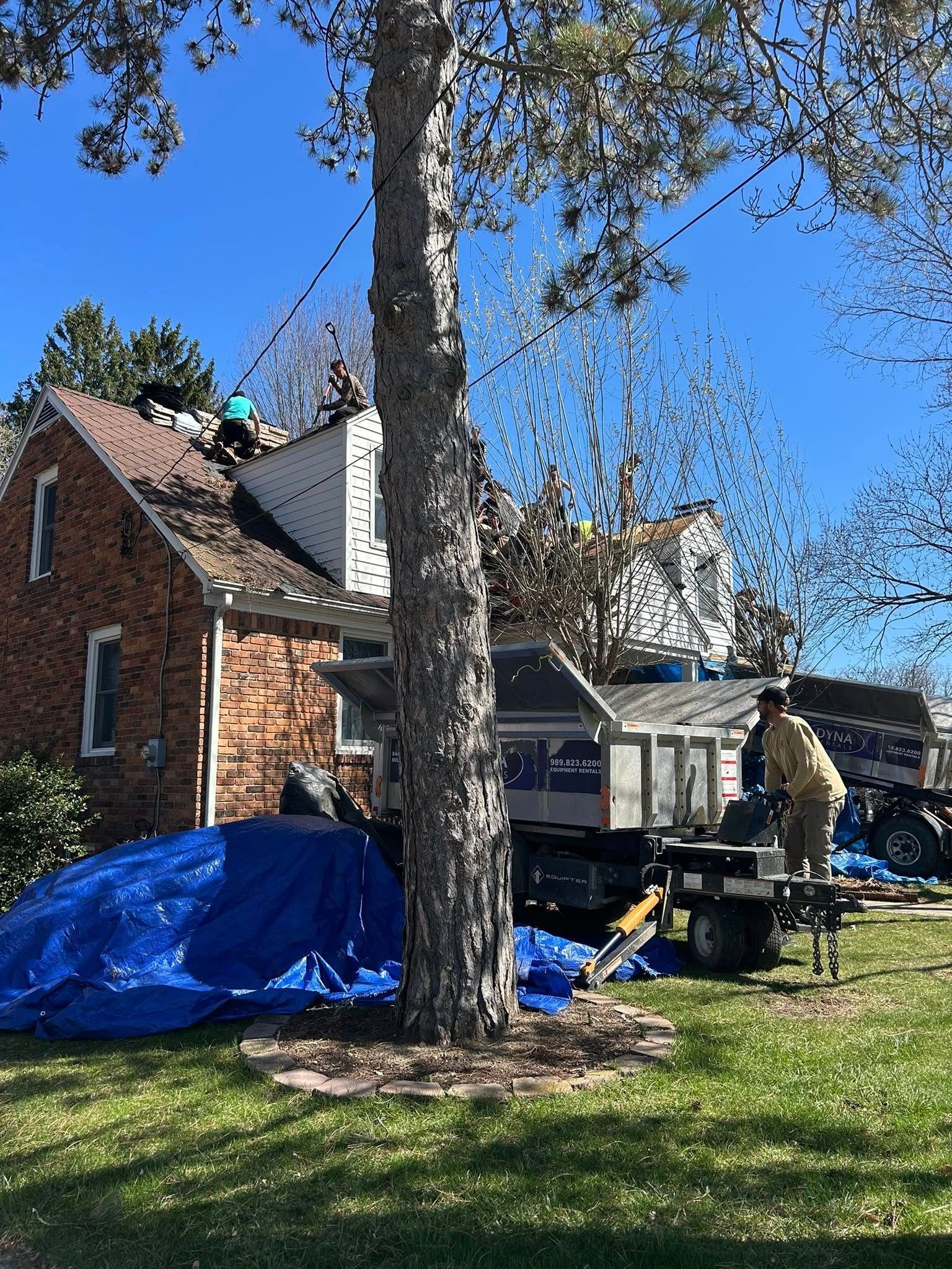 Brick house with roof damage, a large tree in the foreground, and blue tarp covering debris in the yard