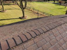 Rooftop shingles overlooking a grassy park with trees and a fence
