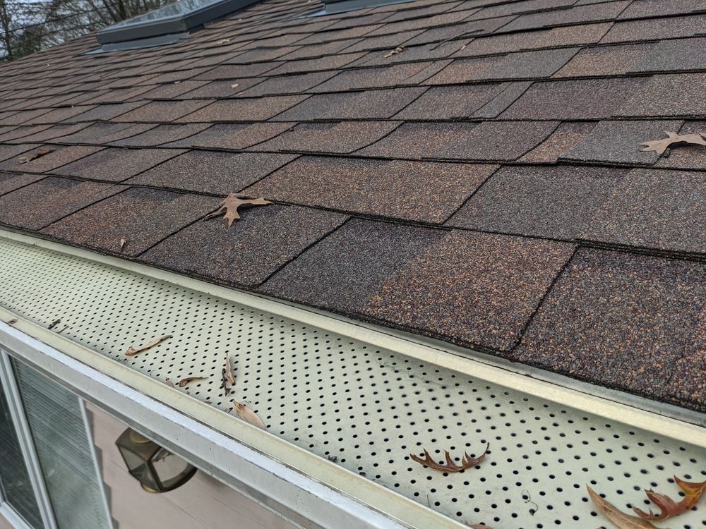 Brown shingled roof with gutter and white perforated soffit, scattered leaves visible