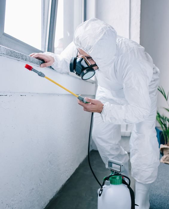 Worker in white protective suit spraying pesticide near a window with a hand sprayer and tank canister.