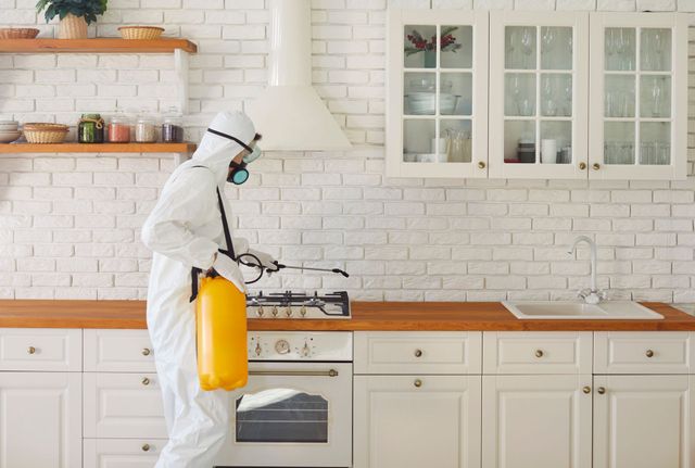 Person in white protective suit spraying disinfectant in a bright kitchen