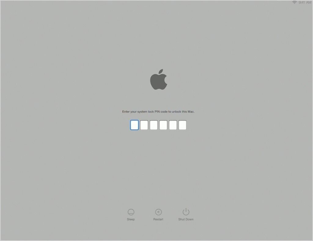 efi lock