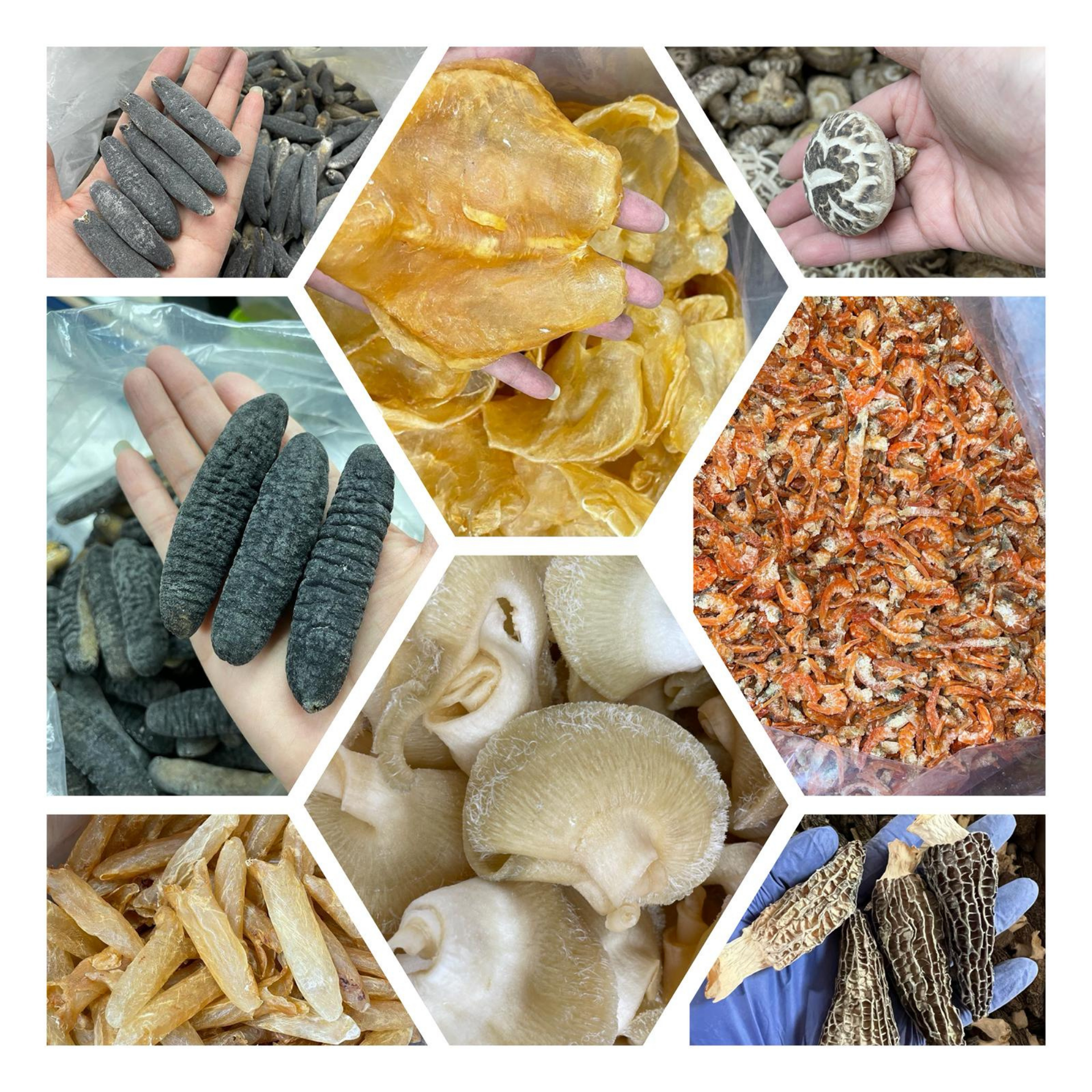 海味