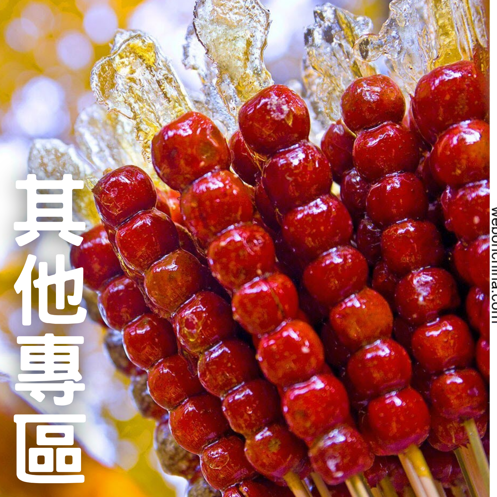 其他地區