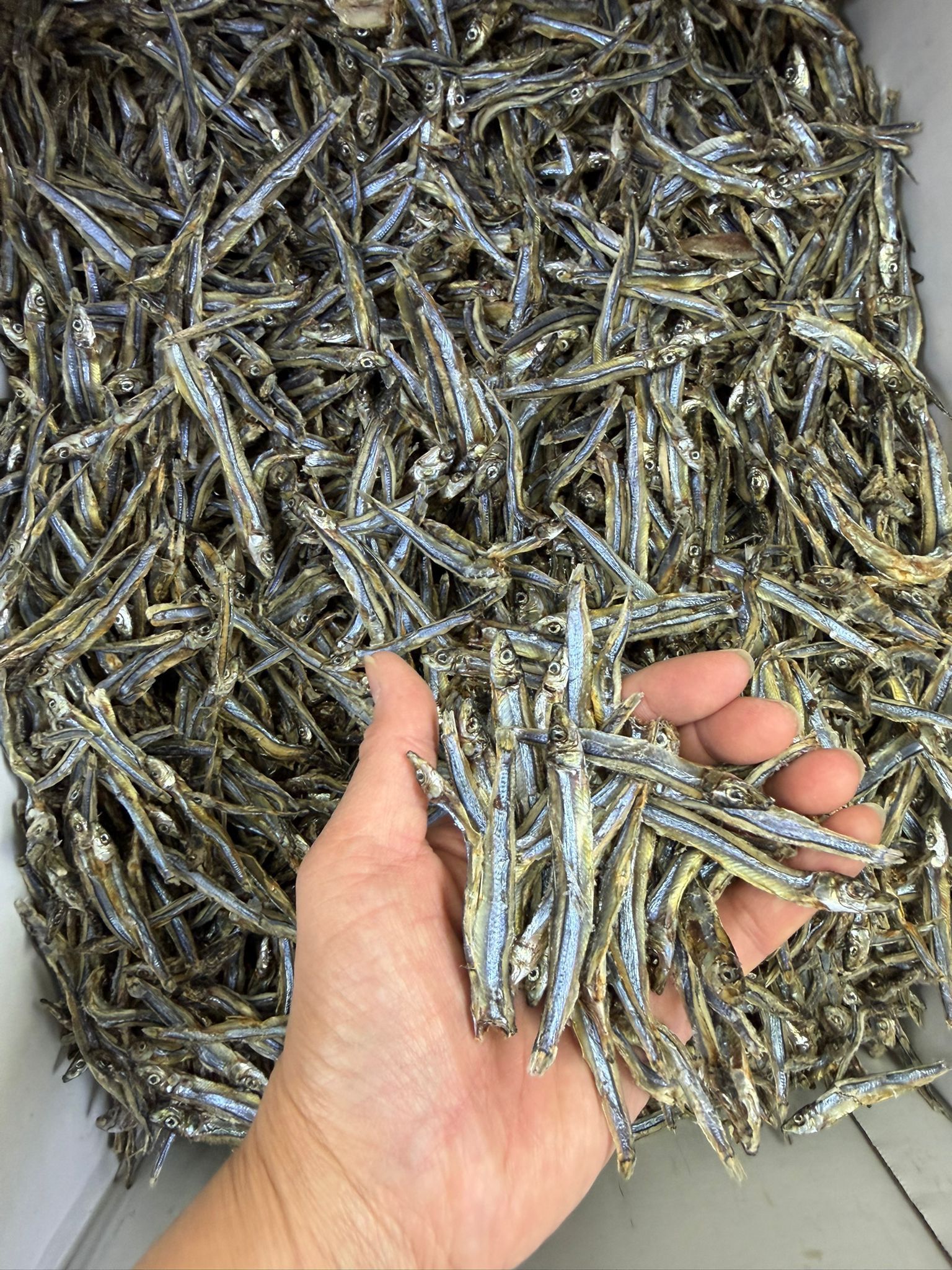 公魚干