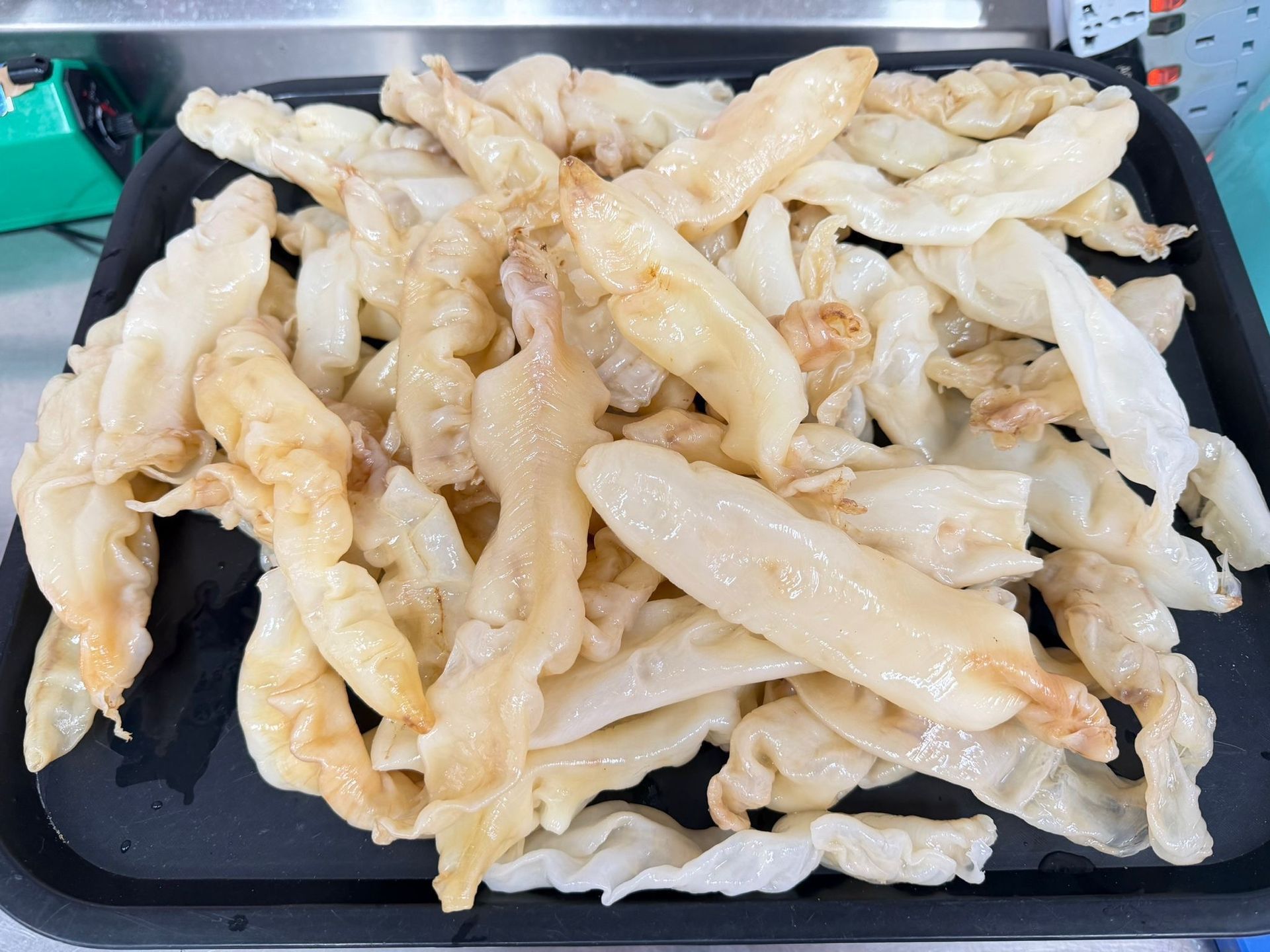 金龍BB花膠仔