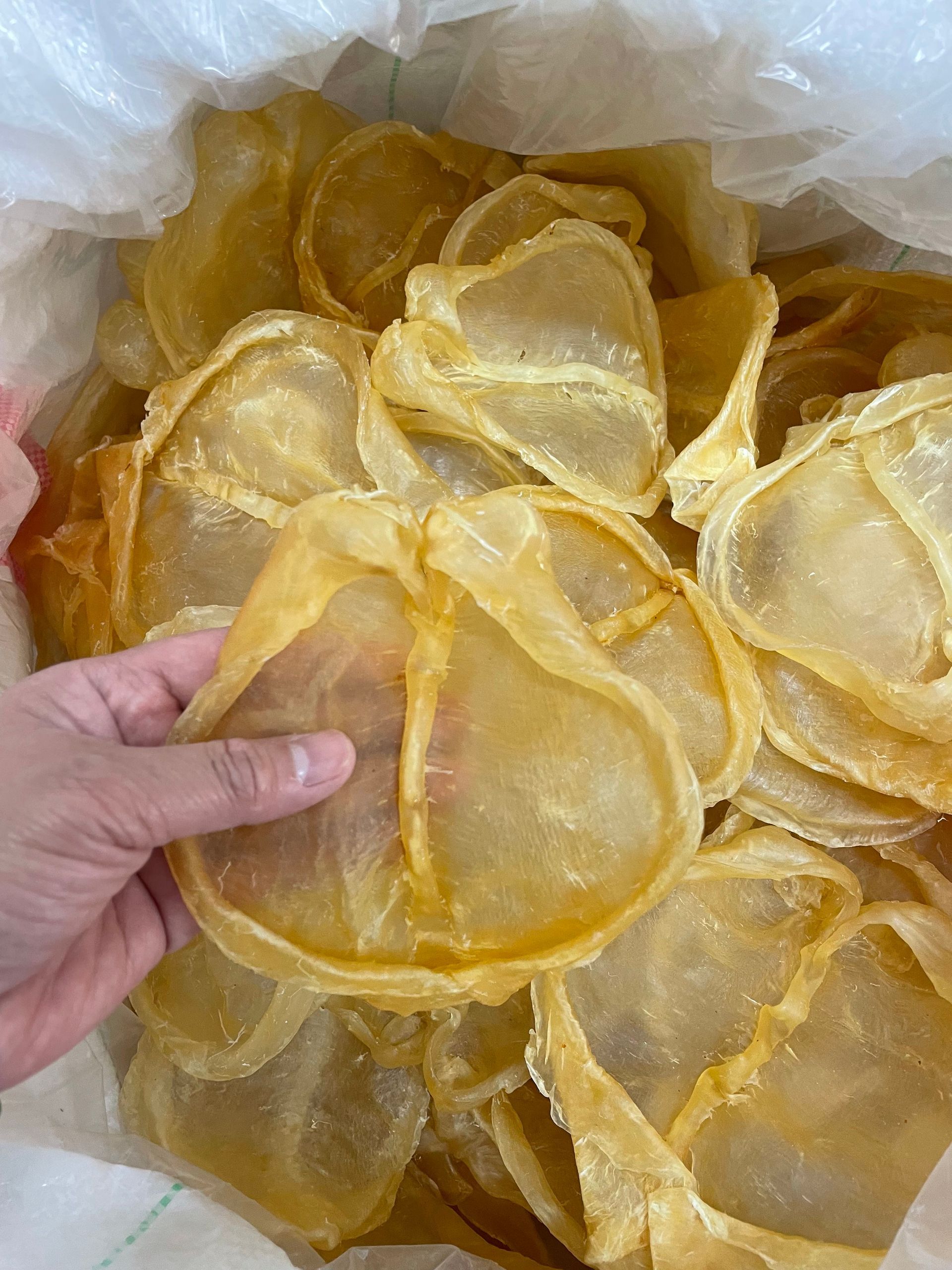 花膠片