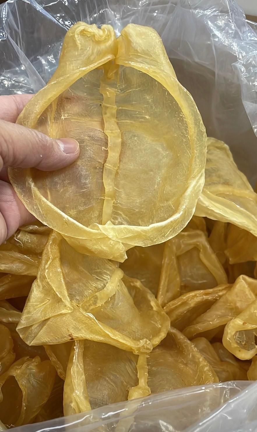 花膠片 22 頭