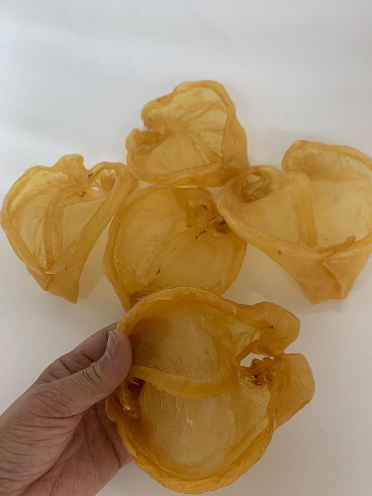 花膠片14-15頭