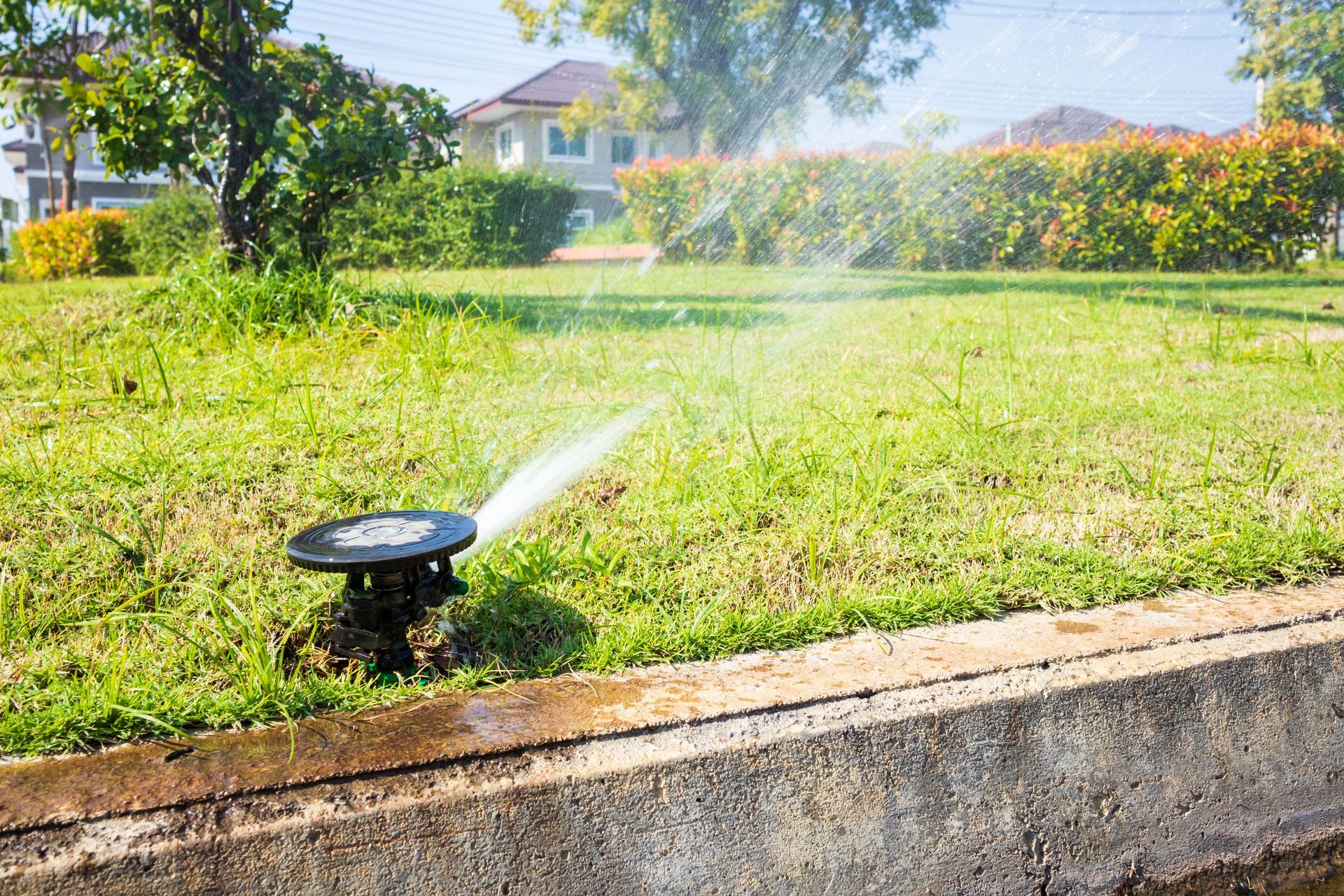 Lawn sprinkler spraying water across a sunny green yard near a curb and houses in the background