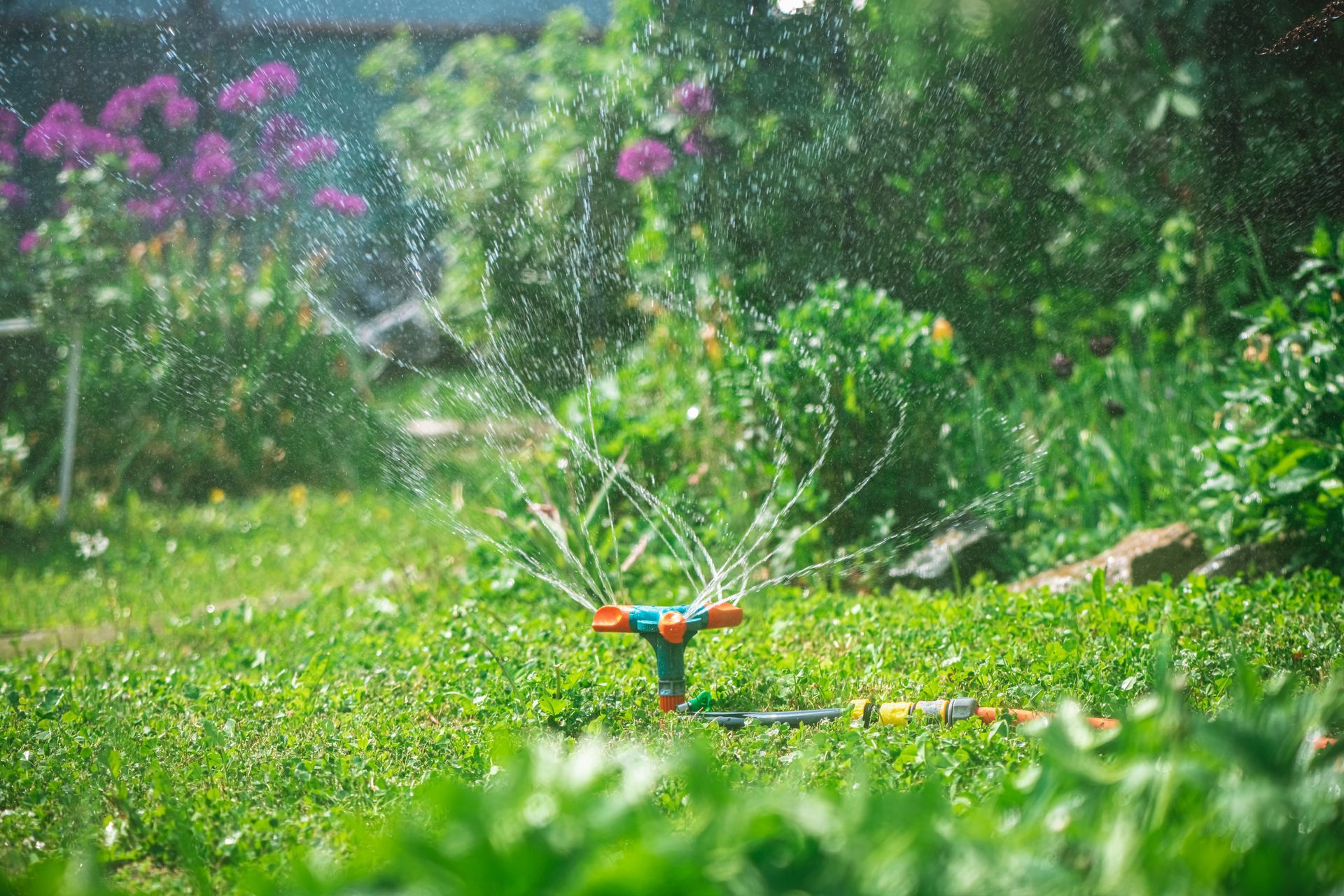 Sprinkler spraying water over a lush green garden with flowers in the background