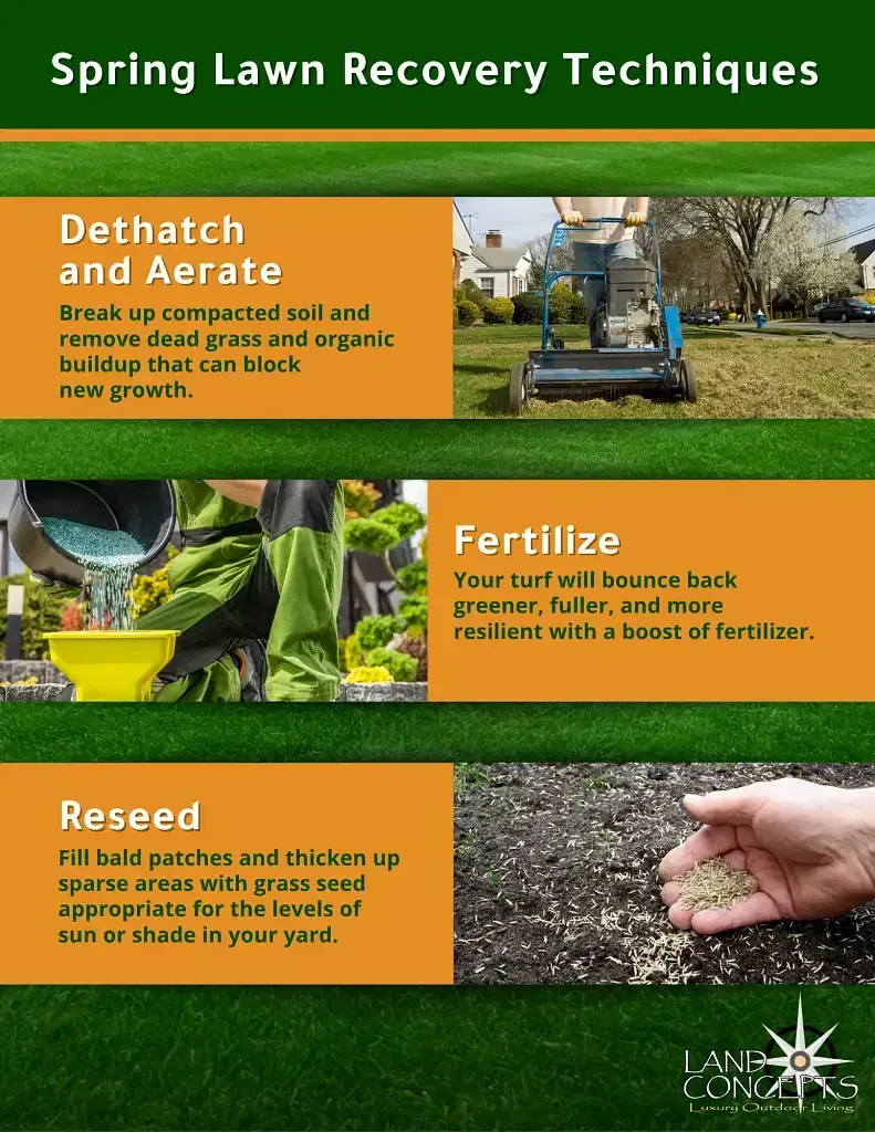 Spring lawn recovery tips infographic: dethatch, fertilize, and reseed with green and orange panels