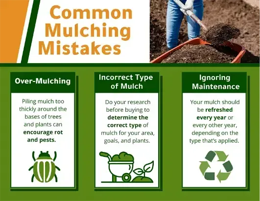 Infographic titled “Common Mulching Mistakes” with three green panels and a gardener mulching soil.