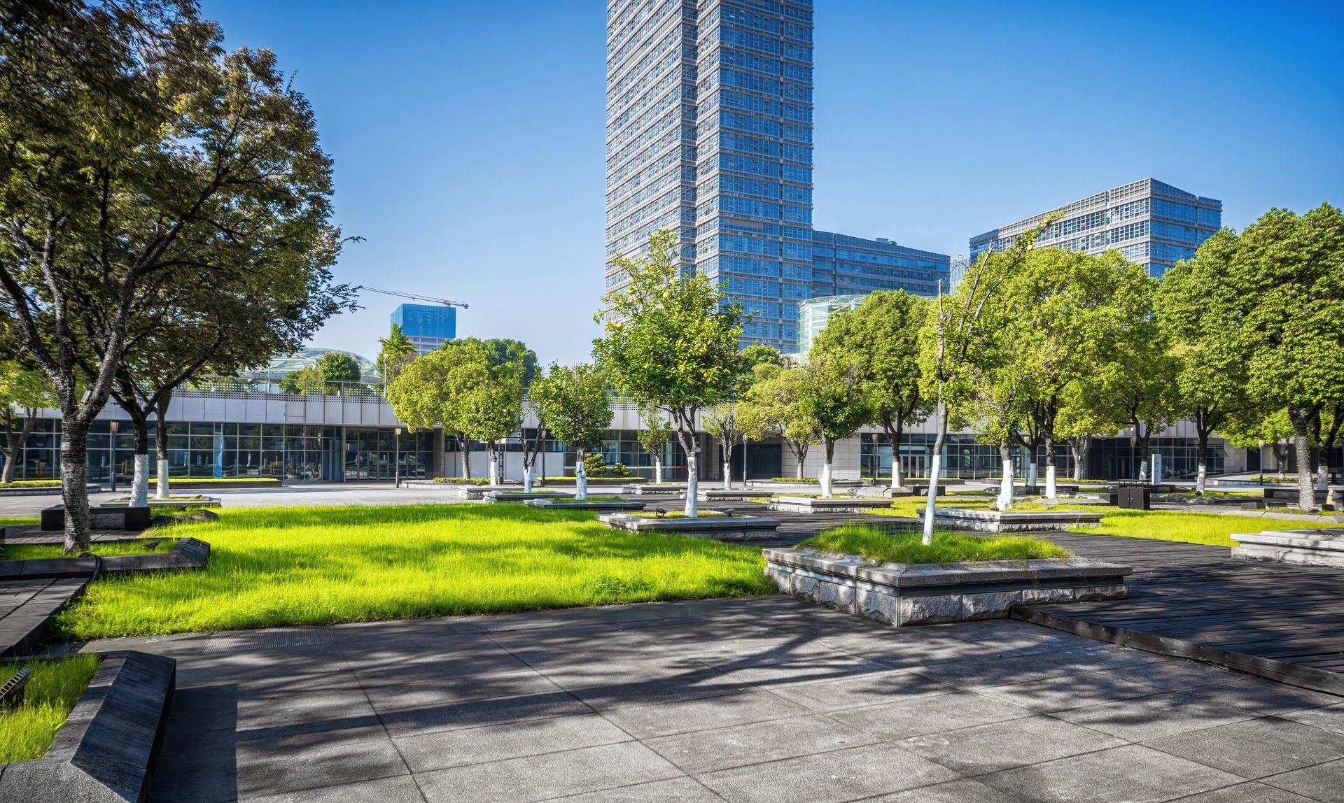 Sunny urban park with green lawn, trees, benches, and tall buildings in the background