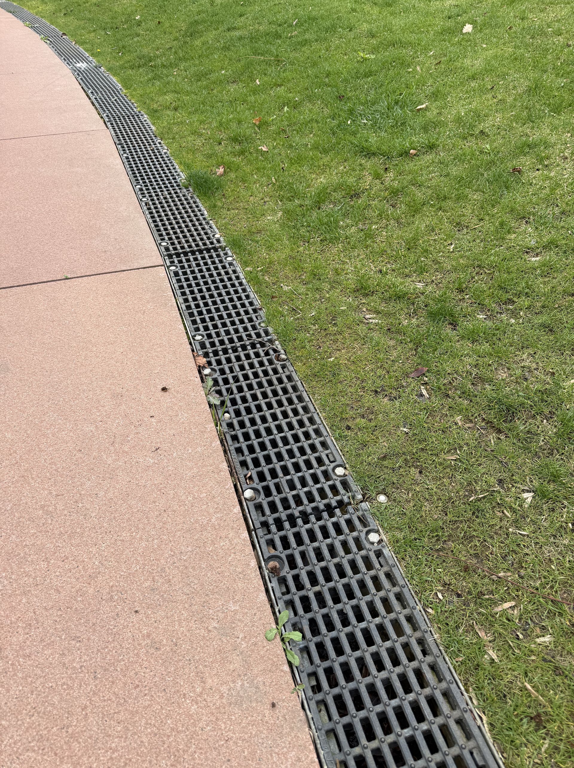 Curved pink sidewalk beside green grass with a black drainage grate along the edge