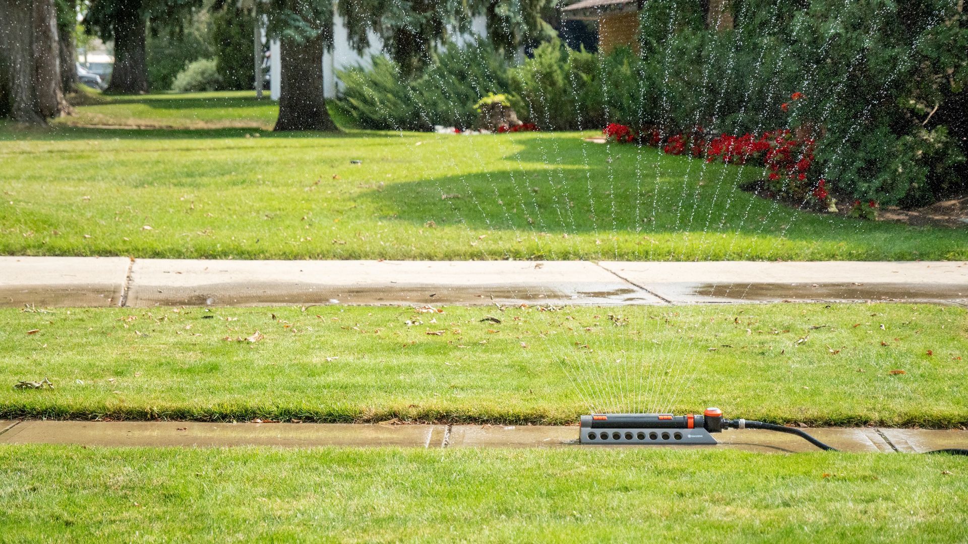Sprinkler controller on a grassy lawn beside a sidewalk, with trees and red flowers in the background