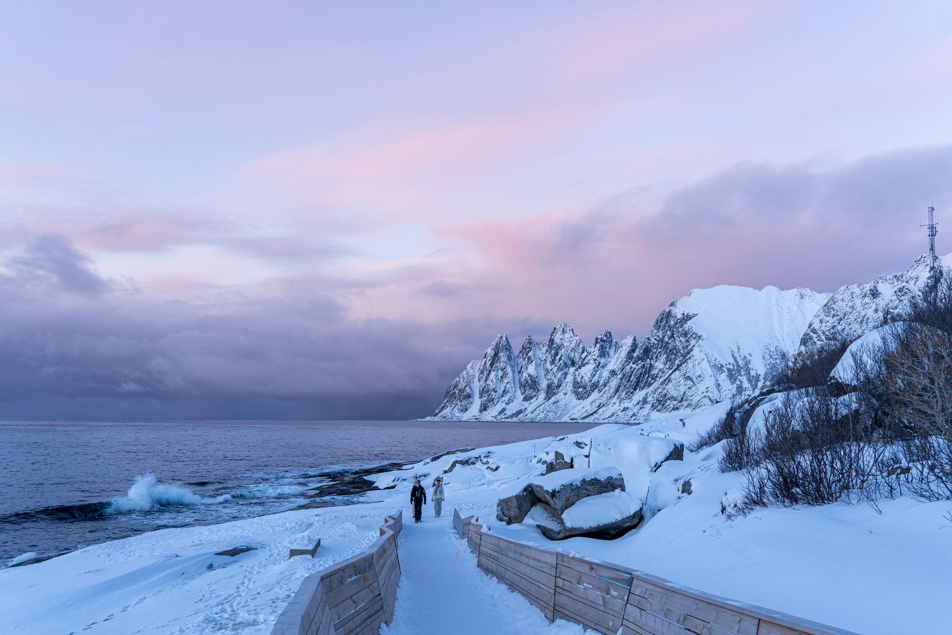 Arctic fjord landscape with wildlife on Tromsø tour by Unique Norway