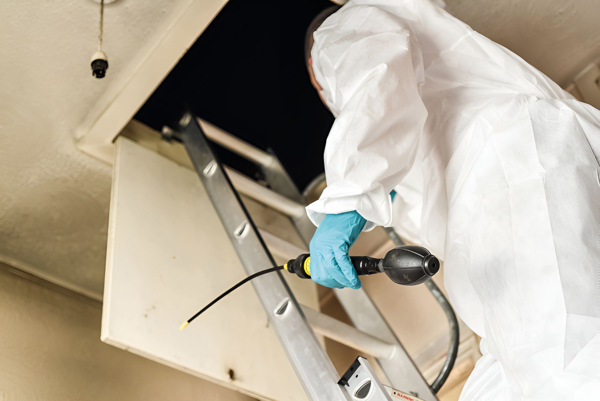 A Man in a Protective Suit is Standing on a Ladder — City Coast Pest Solutions In Wollongong, NSW