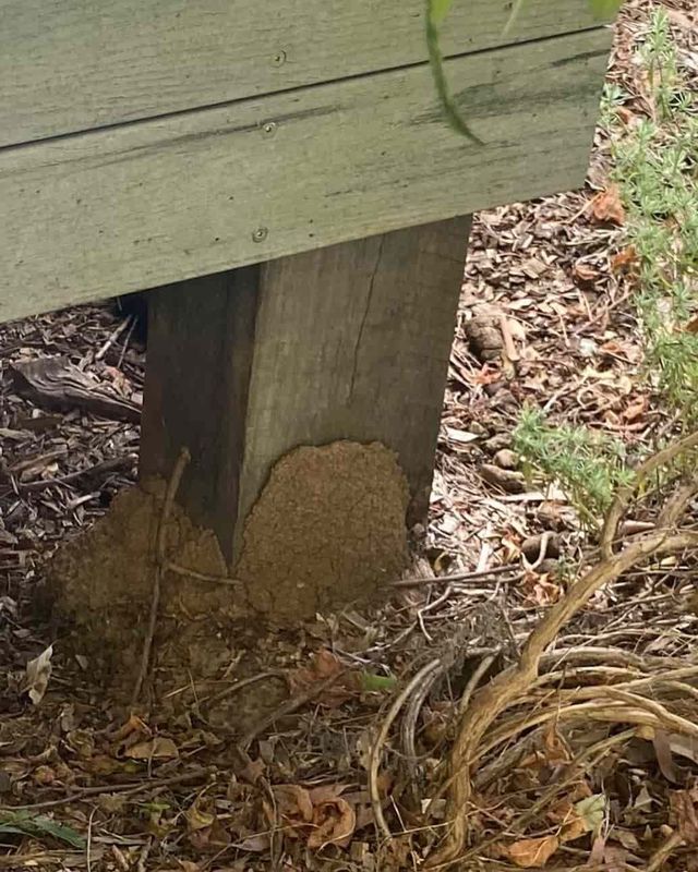 A Wooden Post With a Pile of Dirt Underneath It — City Coast Pest Solutions In Wollongong, NSW