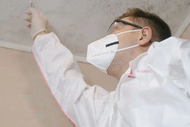 Residential Mold Removal in Baltimore 

