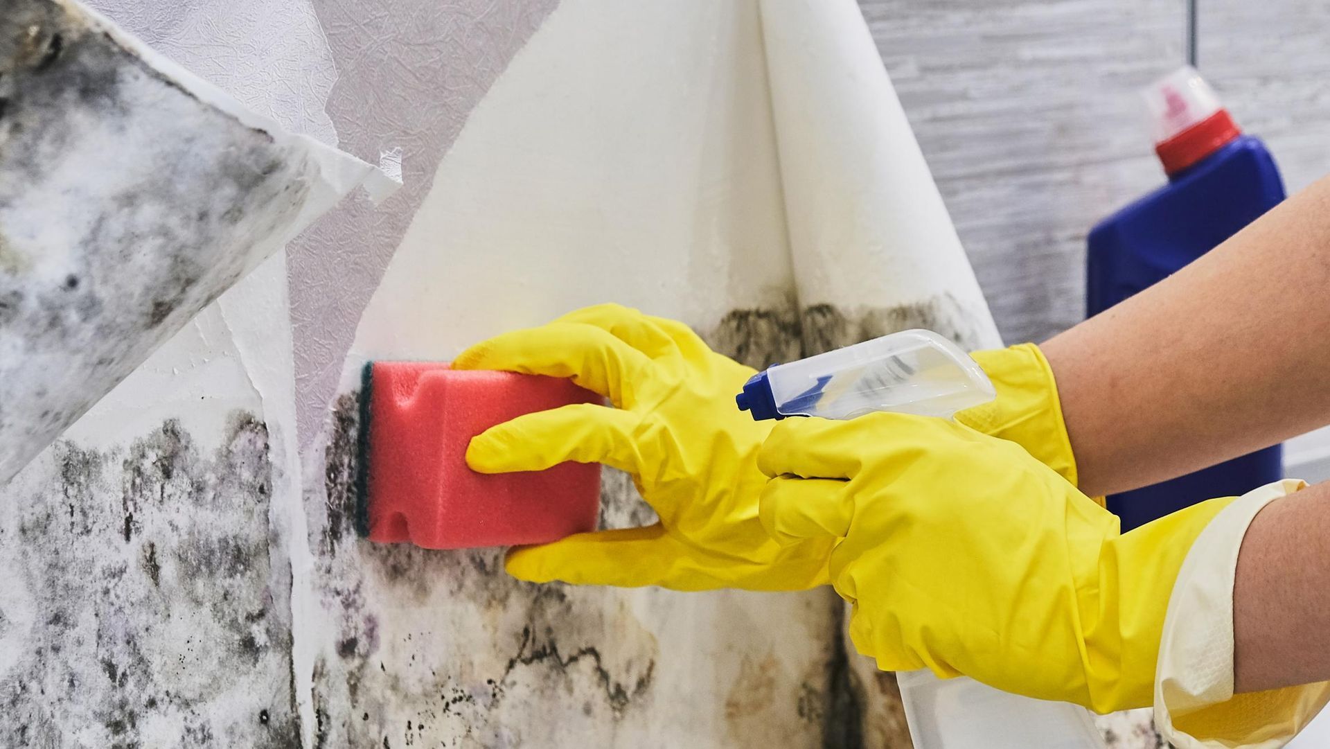 A person wearing yellow gloves is cleaning a wall with a sponge.