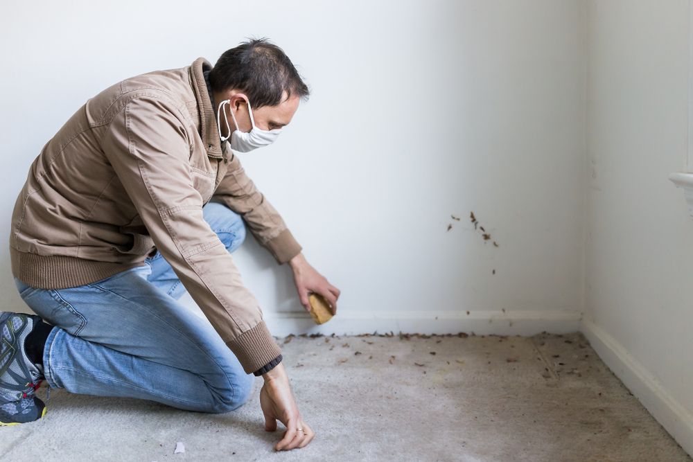 A man wearing a mask is cleaning the floor with a brush.