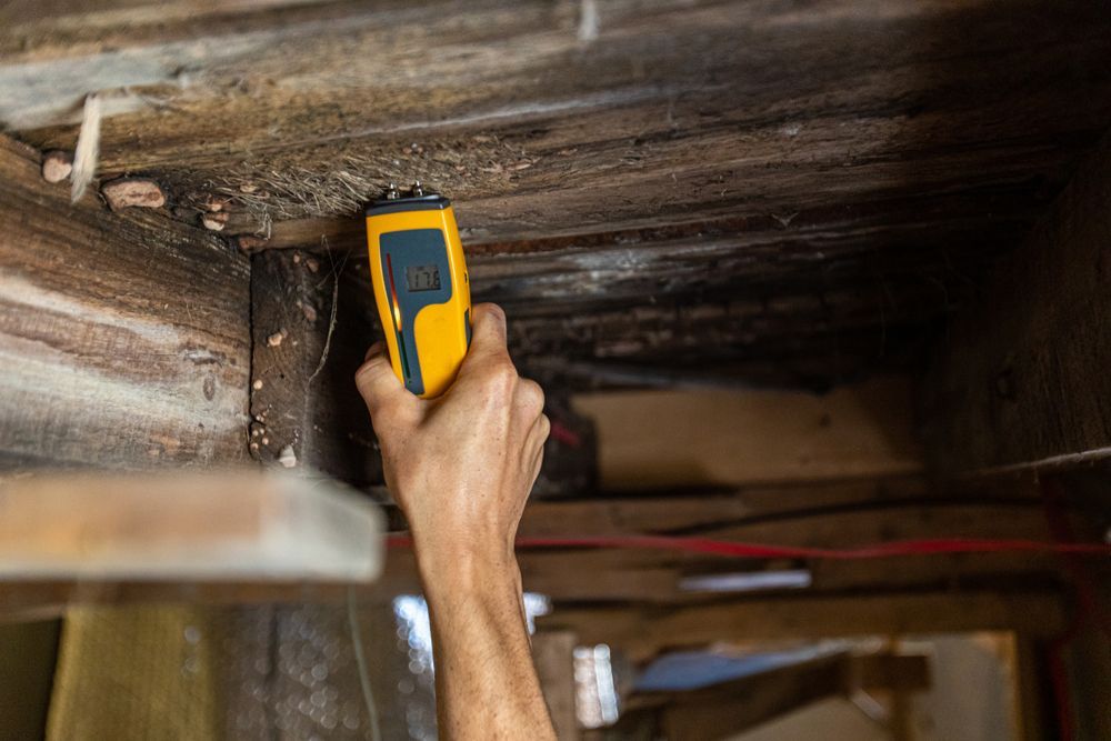 A person is measuring the humidity of a ceiling with a thermometer.