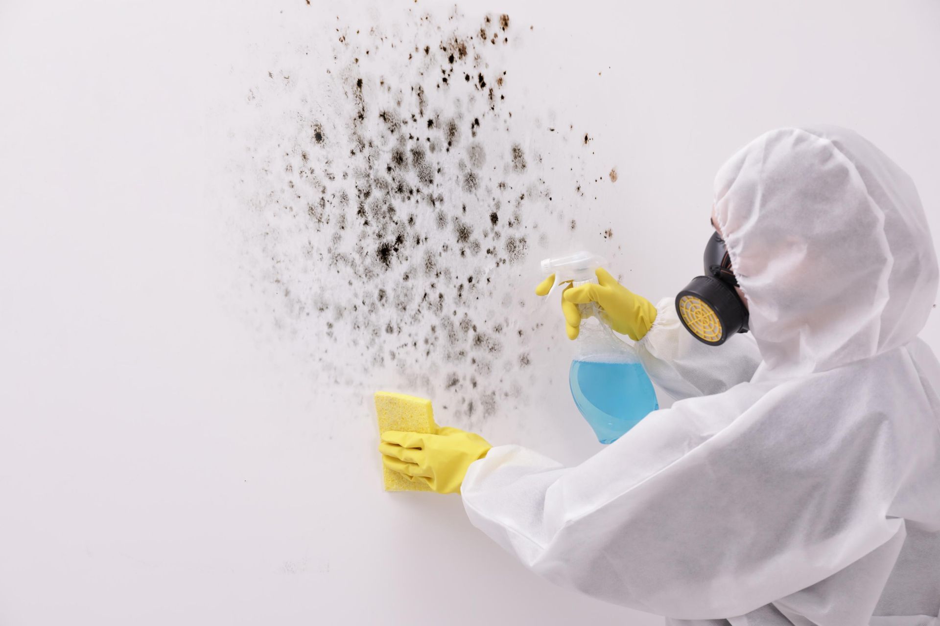 A person in a protective suit is cleaning a wall with a spray bottle.