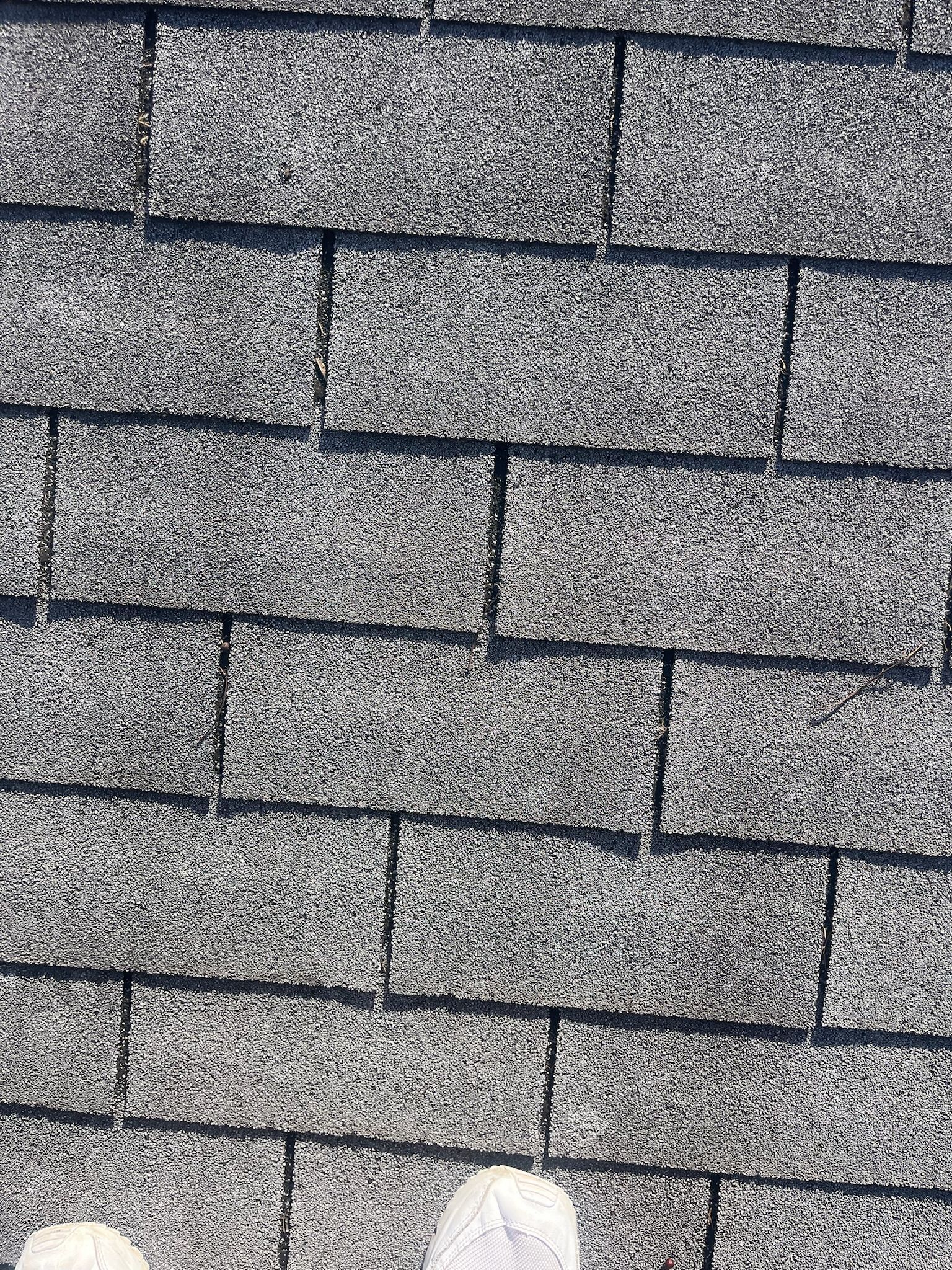 Close-up of gray shingle roof with a small white object at the bottom edge