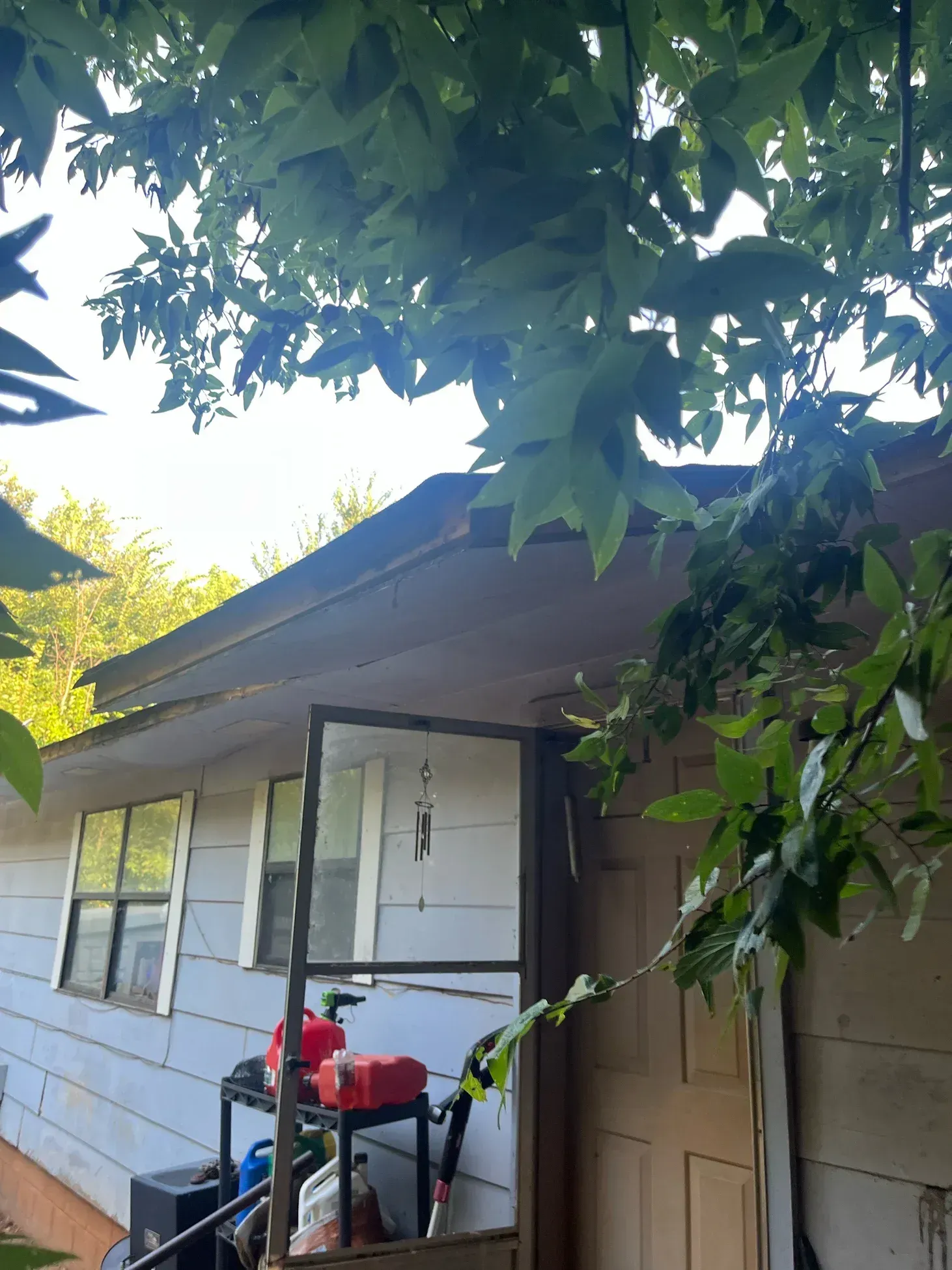 A house with a screen door and a tree with green leaves overhead.
