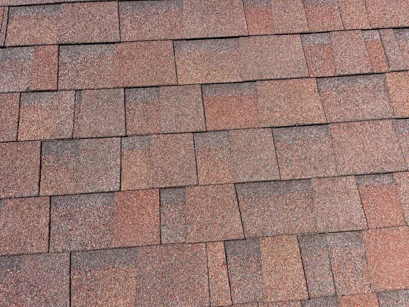 Close-up of a brown asphalt shingle roof.