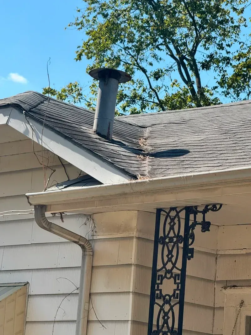 Gray chimney on a shingle roof, with a white house facade and a green tree in the background.