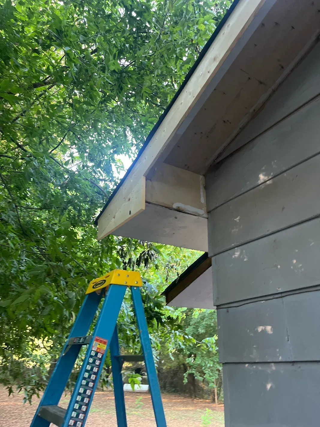Blue ladder beneath a roof's unfinished wood overhang; gray siding on the house.