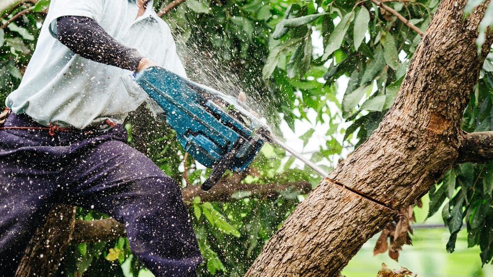 Man Cutting Tree — Professional Small Engines in Aitkenvale, QLD