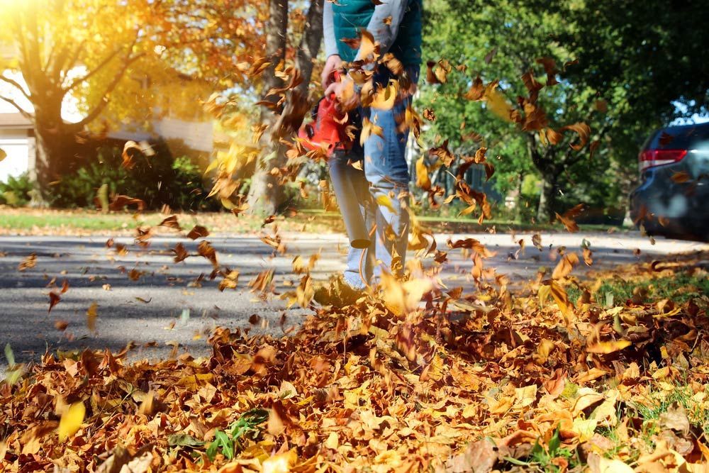 Man Working with Leaf Blower — Professional Small Engines in Aitkenvale, QLD