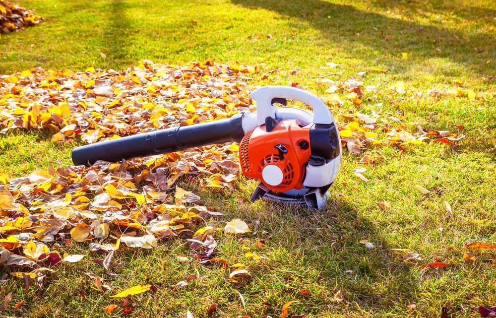 Orange Blower Sitting on Grass Covered With Fallen Leaves — Professional Small Engines in Bowen, QLD