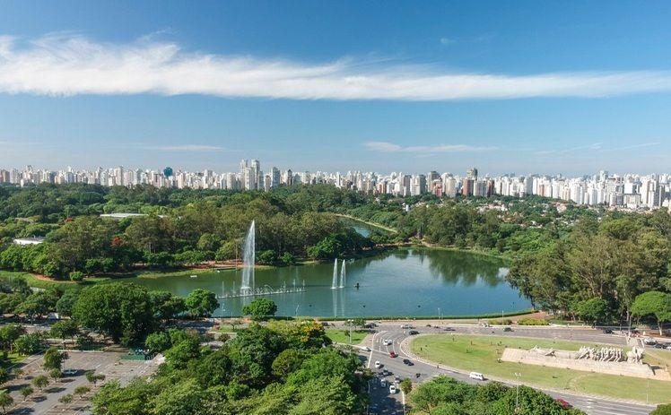 Vista aérea do Parque Ibirapuera em São Paulo, com um lago com fontes rodeado por árvores exuberantes e o horizonte da cidade ao fundo.