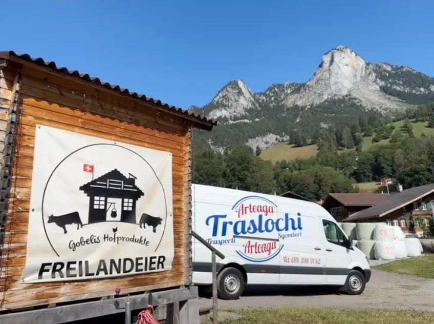 a white van with the word Arteaga traslochi on it