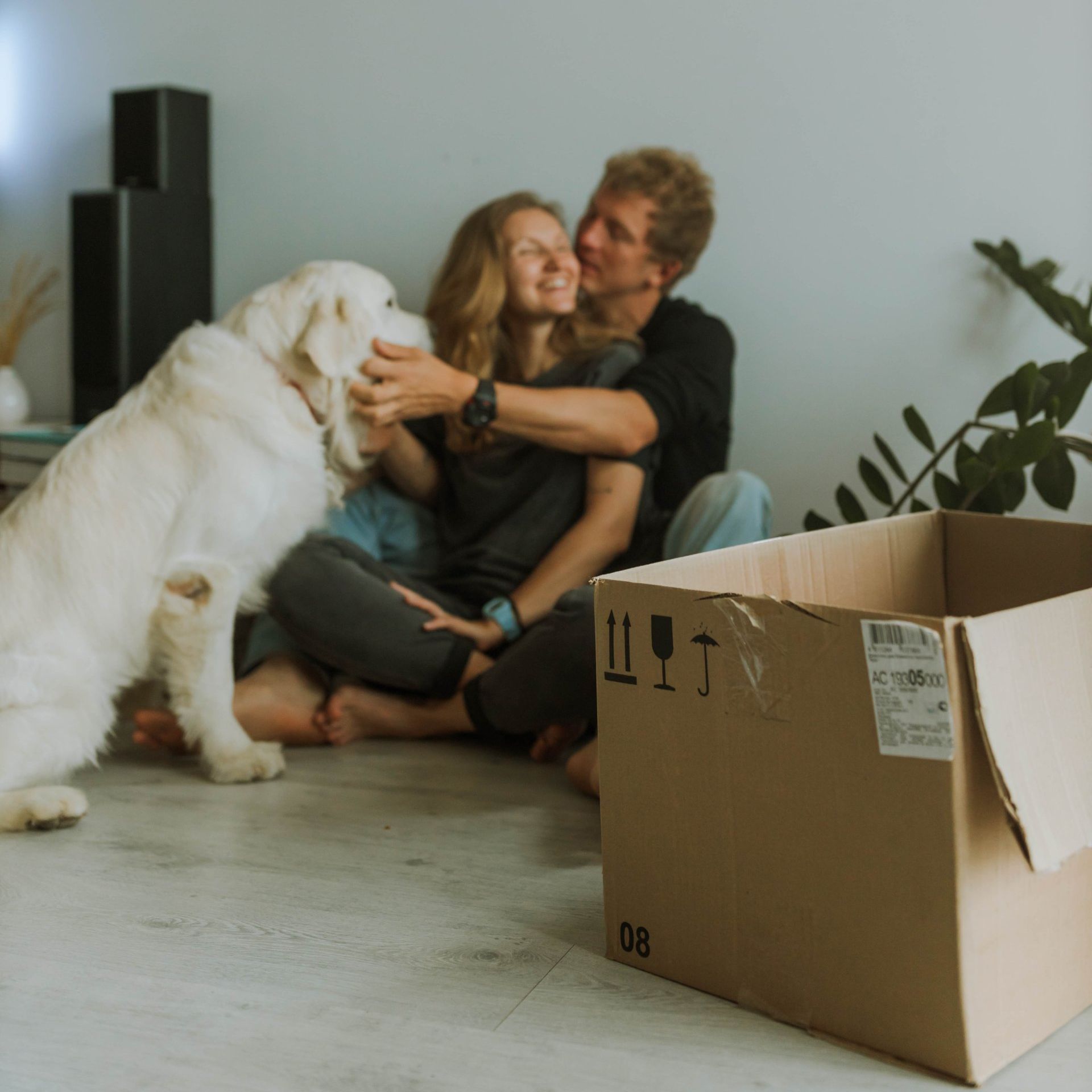 Il trasloco perfetto: un nuovo inizio in una casa amorevolmente trasferita