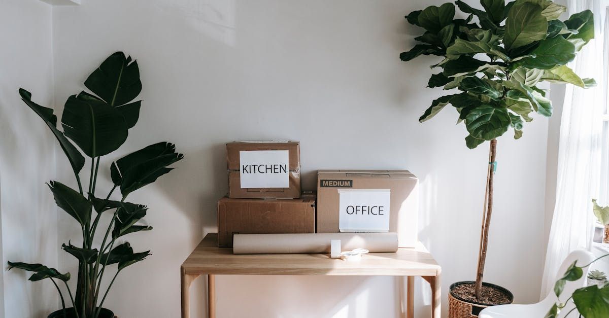 A stack of cardboard boxes sitting on top of a wooden table next to a plant.