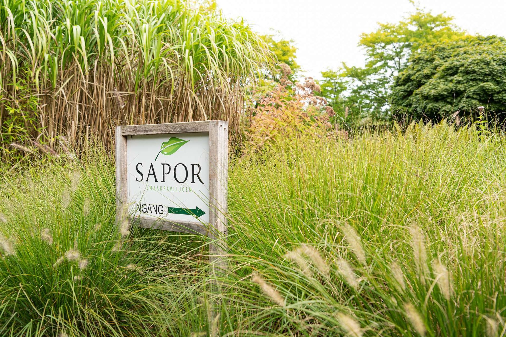 Bord van restaurant Sapor in een veld met hoog gras, met groen en bomen op de achtergrond.