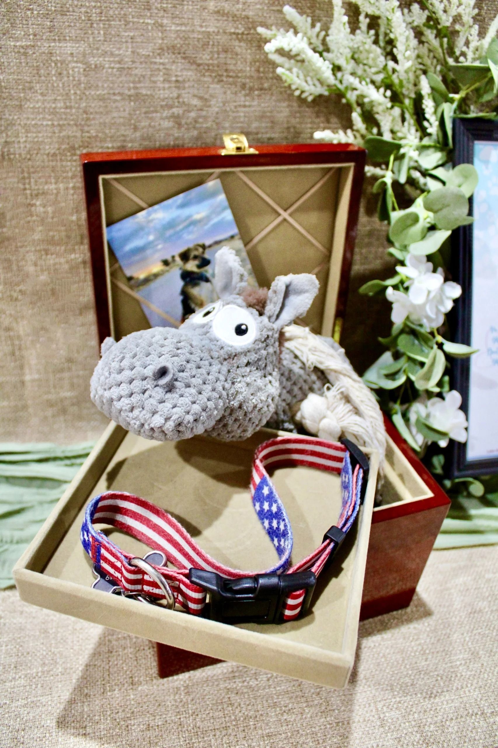 Gray crocheted koala in a display box with colorful straps on a beige carpet, beside white flowers