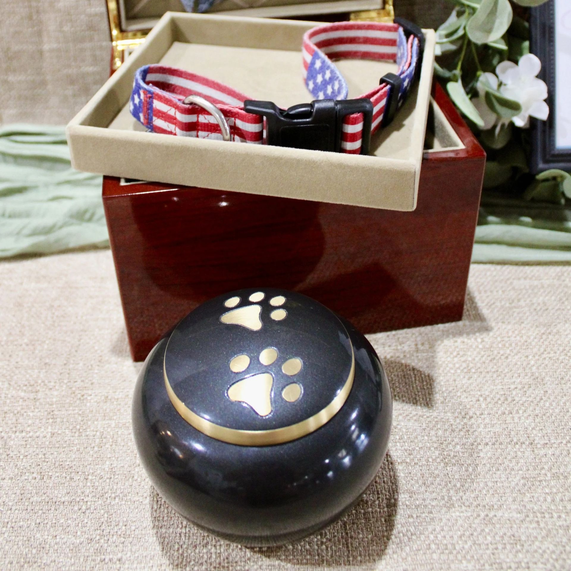 Black round object with gold paw prints on carpet, beside a striped collar in a wooden box