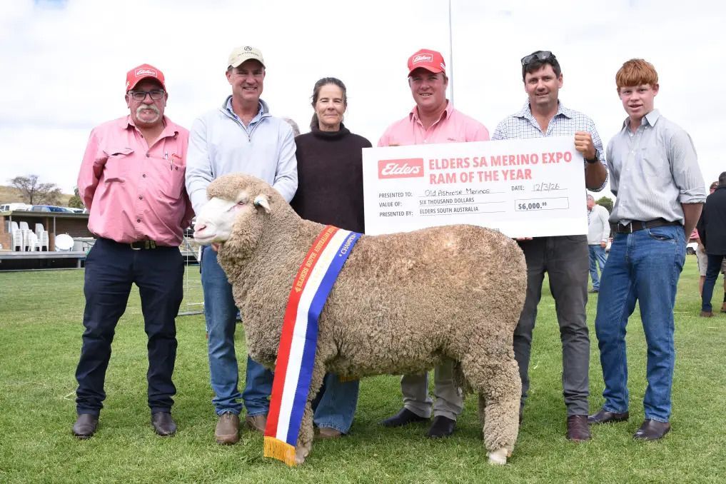 Adelaide Ram Show