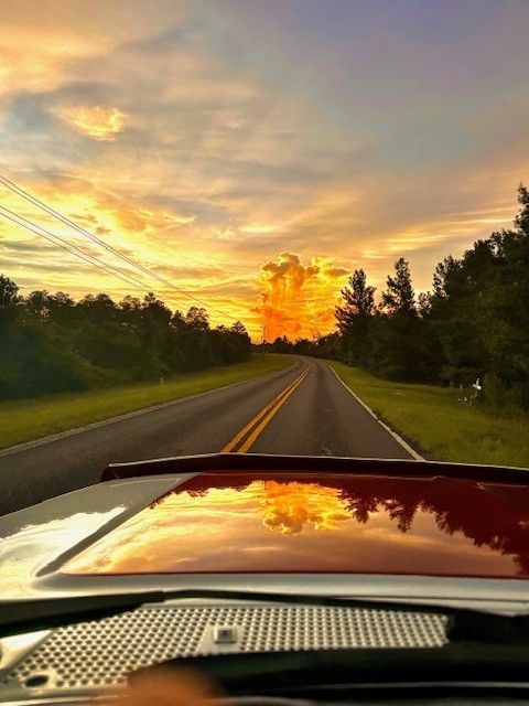 Road reflecting golden sunset; trees line the sides, power lines overhead.