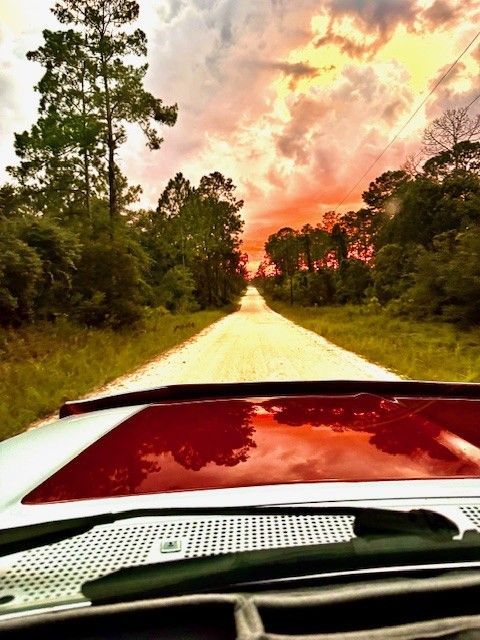 View from a car on a gravel road at sunset. Crimson sky, green trees, and reflection in the red hood.