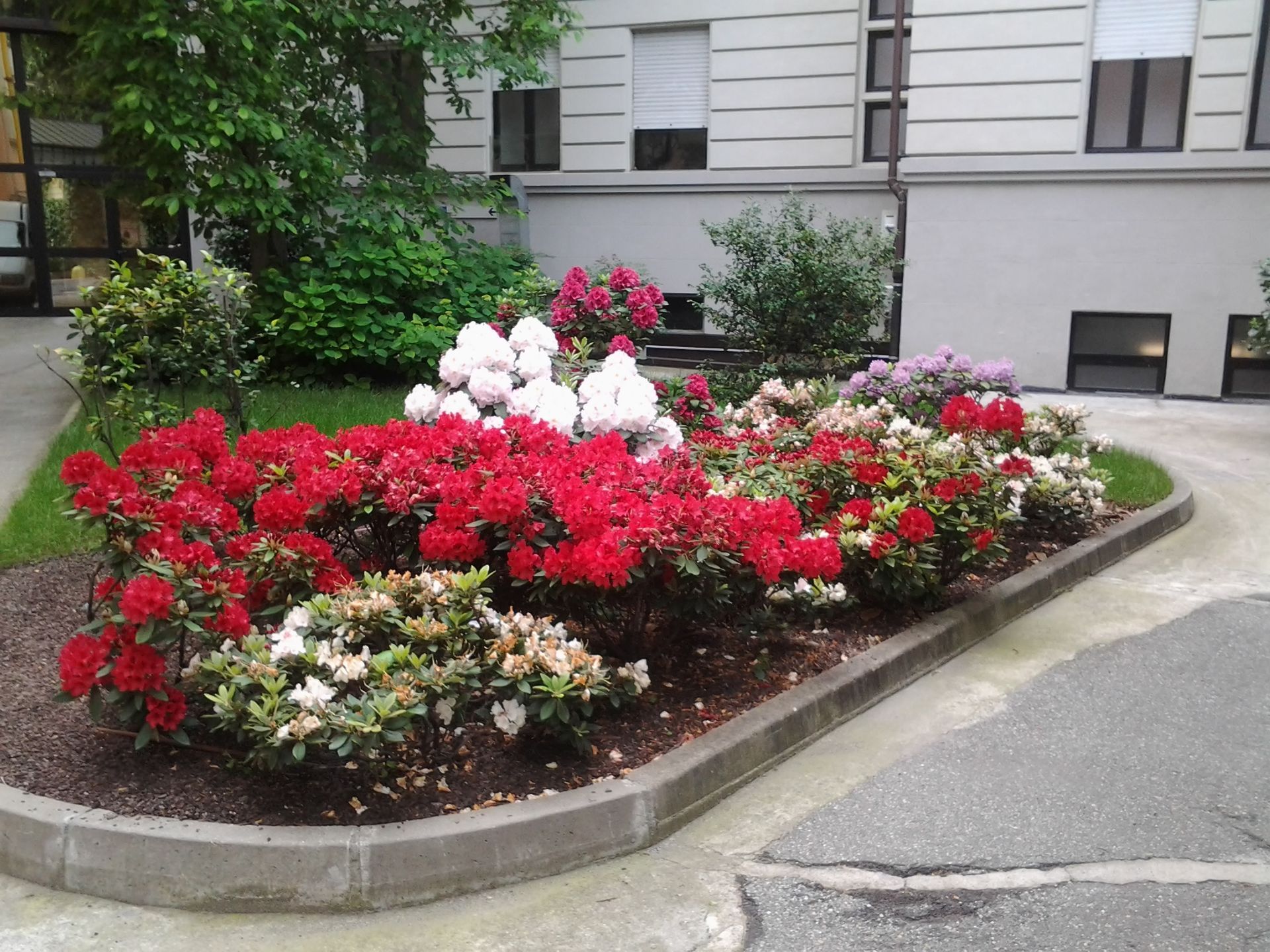 progettazione di giardini e aree verdi a Torino e provincia con Gardeland