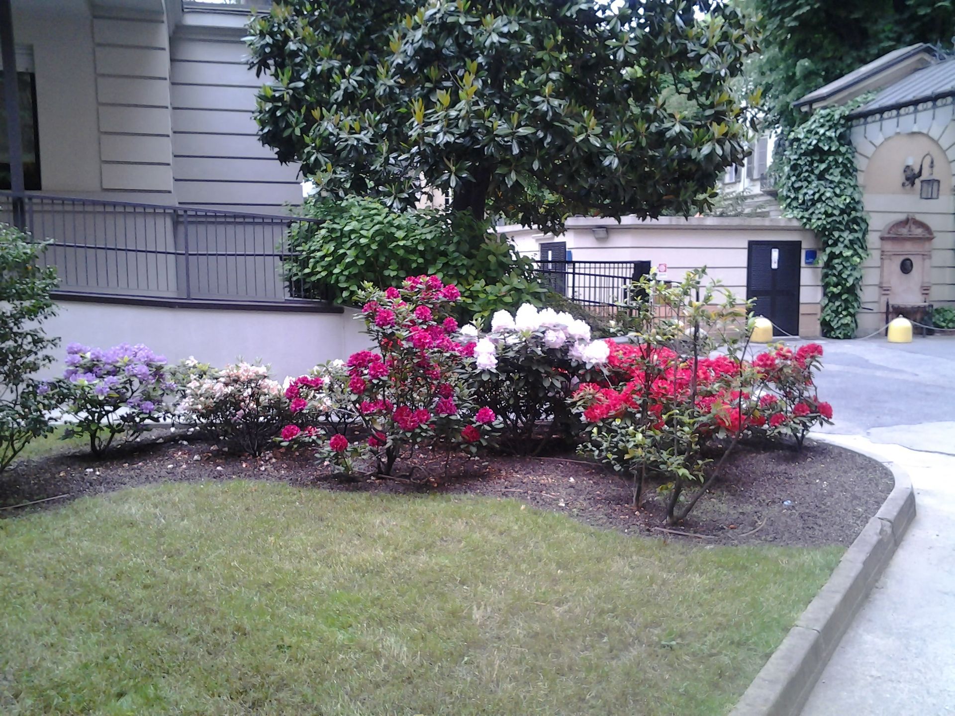progettazione di giardini e aree verdi a Torino e provincia con Gardeland