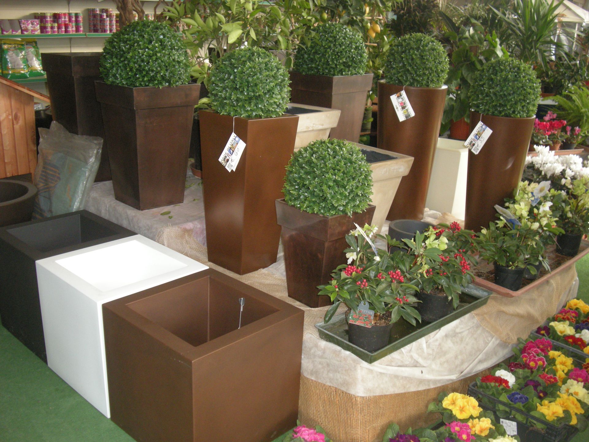 Piante in vaso in varie fioriere quadrate e coniche in un centro di giardinaggio, con alcuni arbusti e fiori colorati.