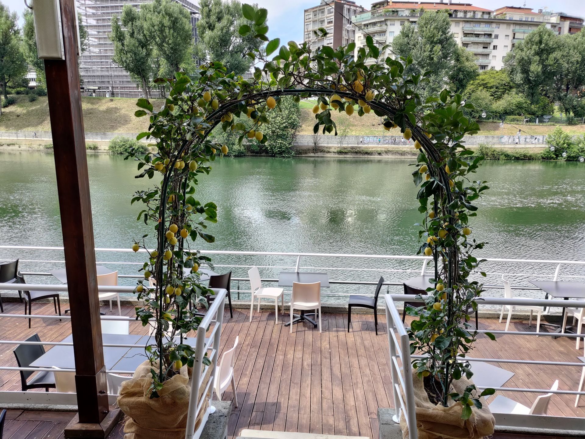 progettazione di giardini e aree verdi a Torino e provincia con Gardeland